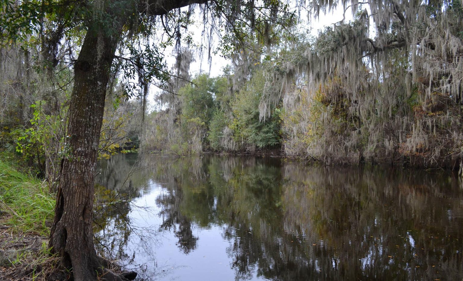 Fort Meade Outdoor Recreation Area - Polk County - Visit Central Florida