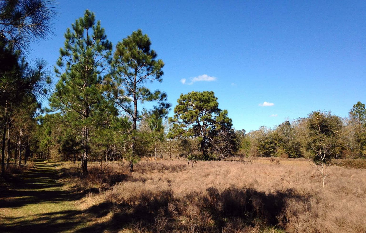 Gator Creek Reserve Polk County Visit Central Florida