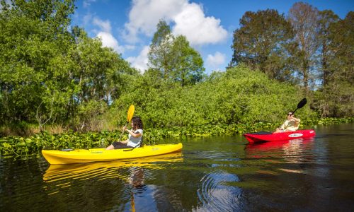 male and female kayaking at Lake Kissimmee State Park in Lake Wales, FL