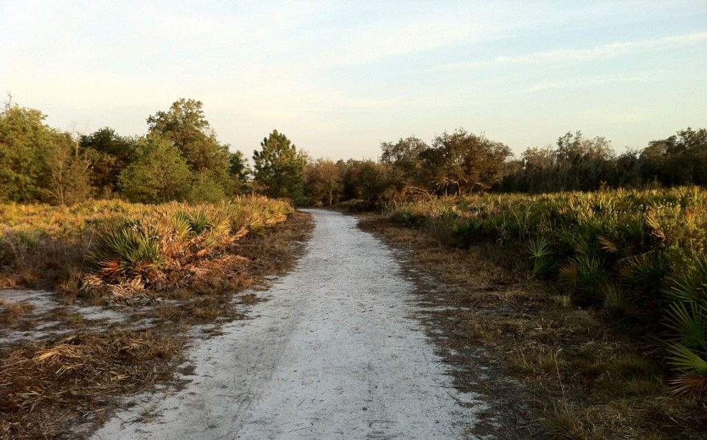 Hiking Trails in Central Florida Lakeland, Florida Visit Central