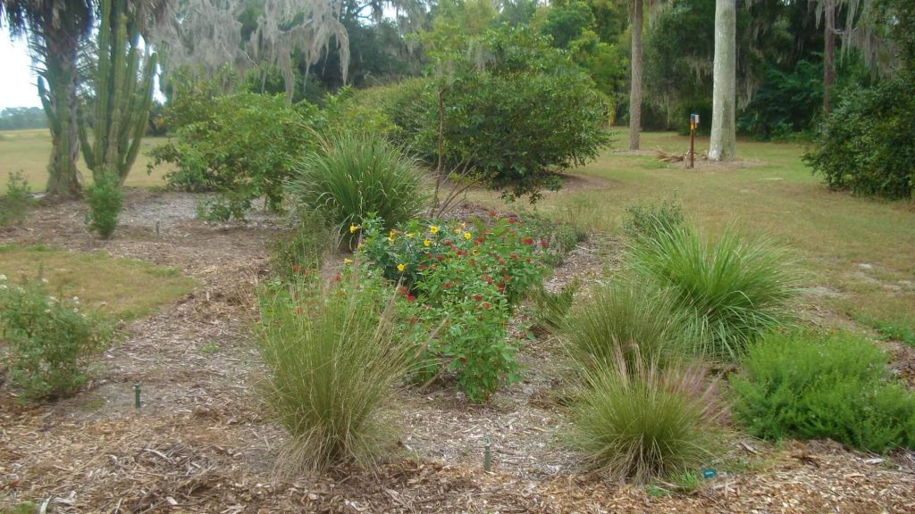 Mackay Gardens and Lakeside Preserve Visit Central Florida