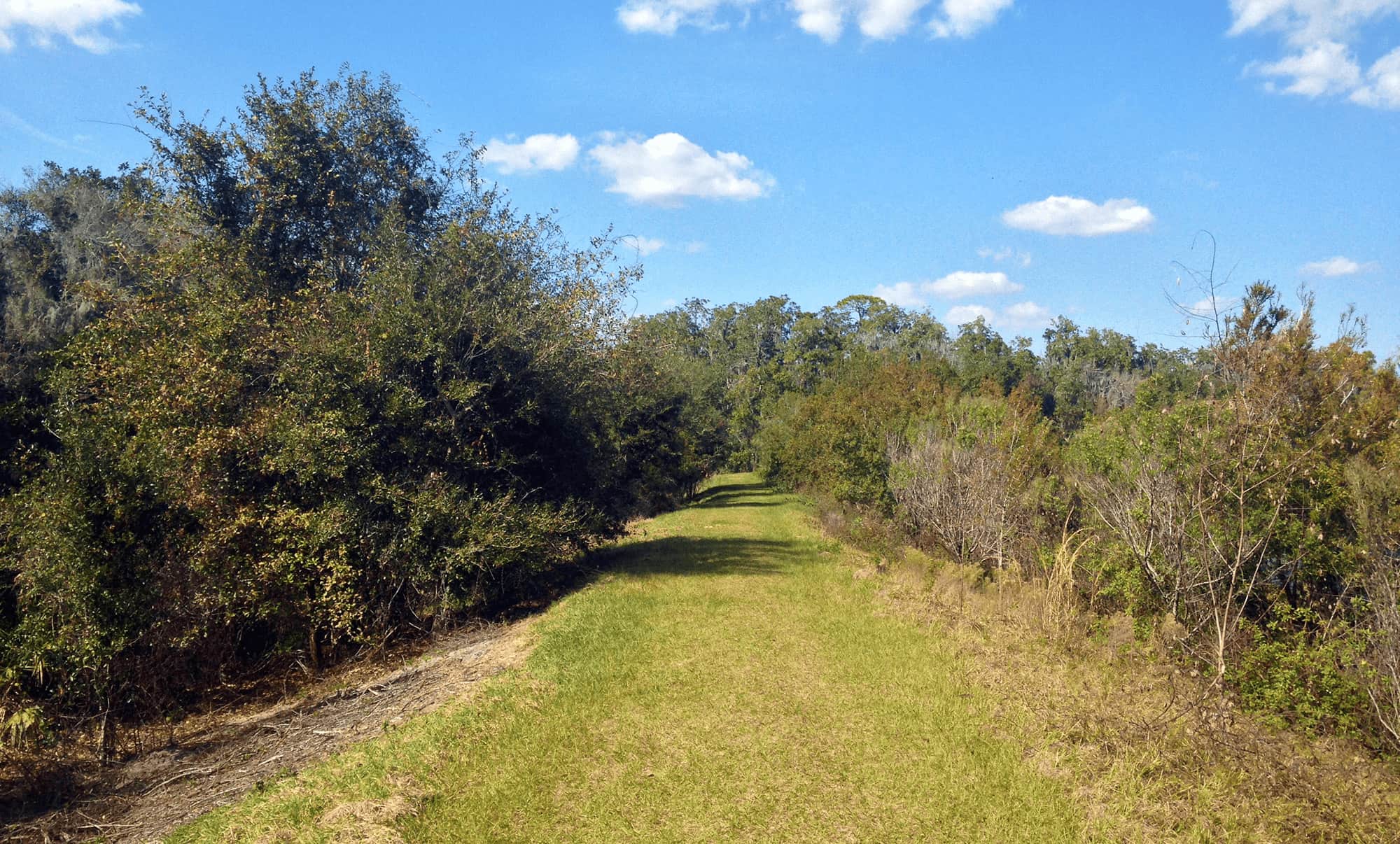 Grassy Panther Point Trail at Marshall Hampton Reserve in Winter Haven, FL