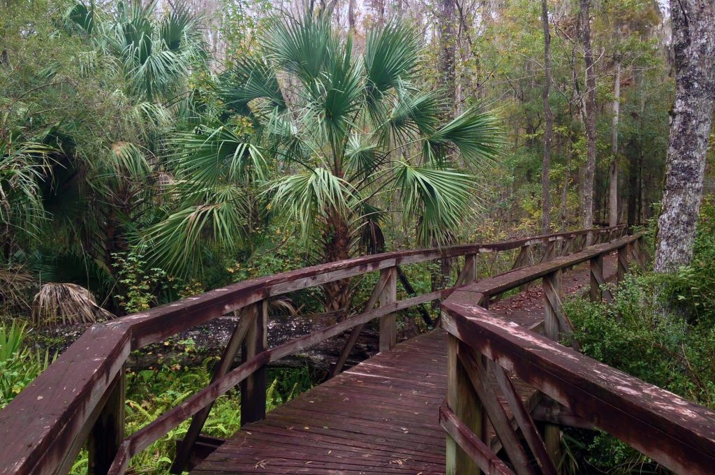 Mosaic Peace River Park