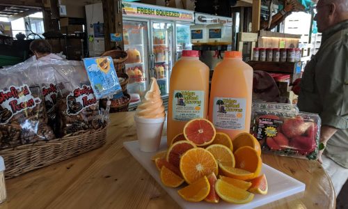 Teapot – Florida's Natural Grove Store