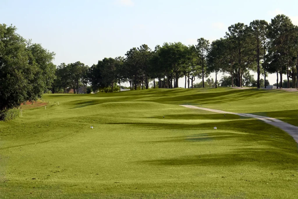 The Links of Sandpiper