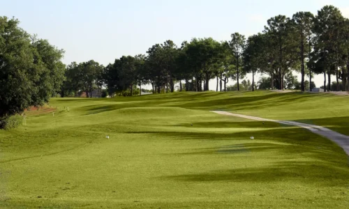 The Links of Sandpiper