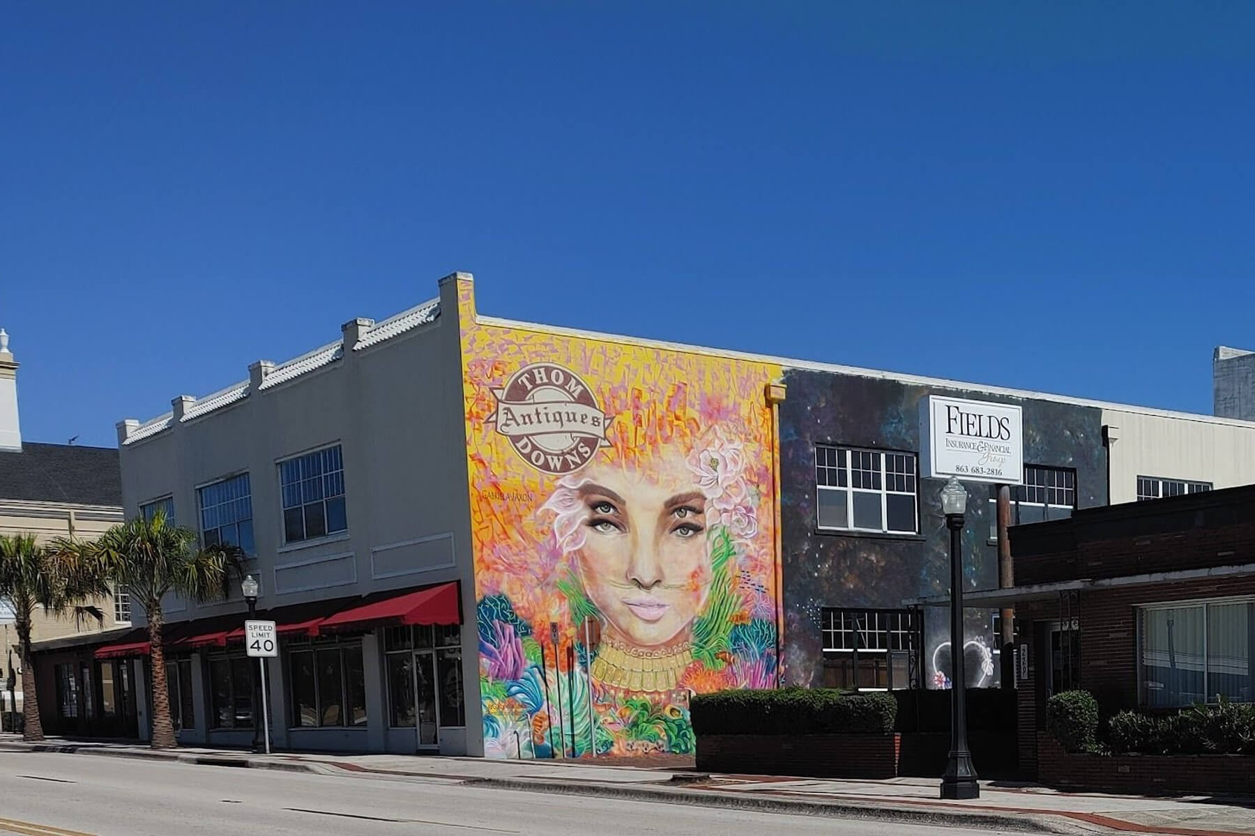 Thom Downs Antiques
