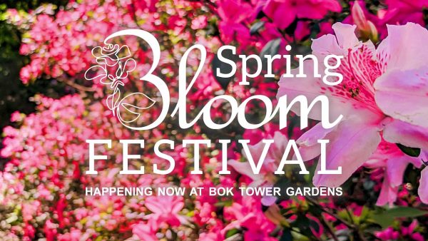 Poster Image for Spring Bloom Festival at Bok Tower Gardens in Lake Wales, FL