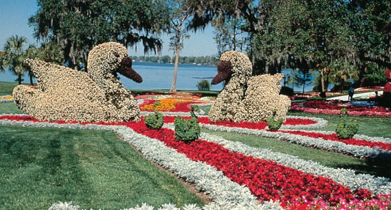 Cypress Gardens Was Florida S 1st, How To Start A Flower Garden In Florida