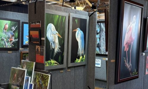 Fine art at the magnolia