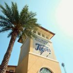 Detroit Tigers Spring Training