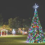 Christmas Tree at Glitter, Glisten and Snow