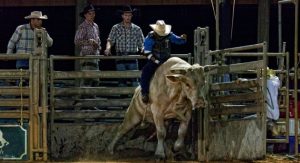 Westgate River Ranch Resort Rodeo