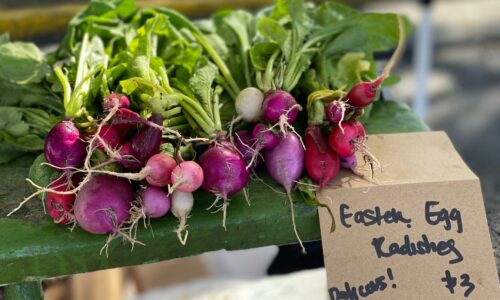 Easter egg radishes at Winter Haven Farmers Market