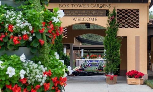 Merry Christmas! 🎄 @boktowergardens will be open from 10A-6P today. Visit their website for details..Repost from @boktowergardens•The Gardens are filled with fresh air, holiday music from the Singing Tower, and an abundance of cheer this season. Spend the weekend making new holiday memories here and at home with your friends and family.