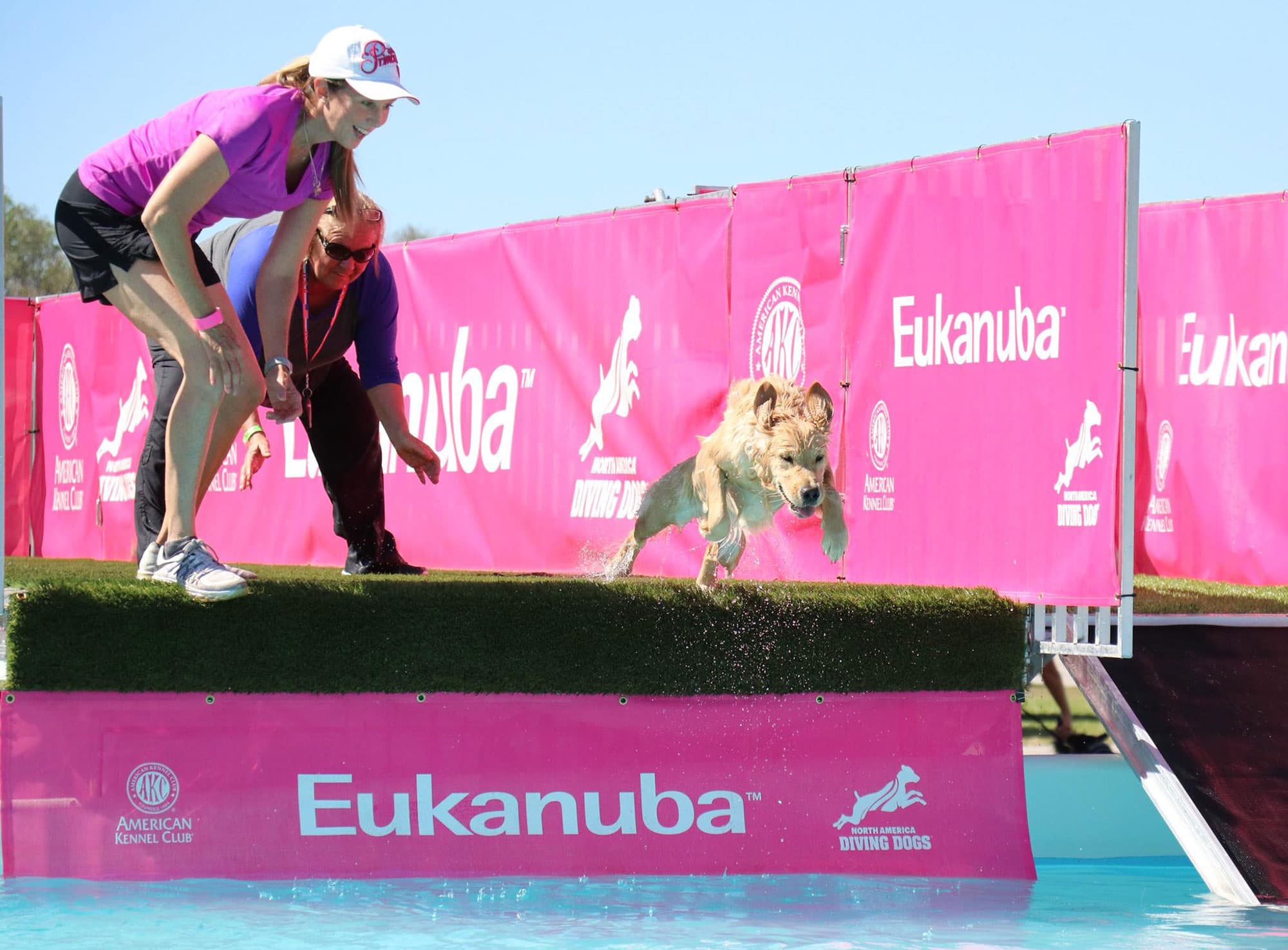 dog, owner and judge shown during dock diving competition during Strawberry Classic All Breed Dog Show in Lakeland FL