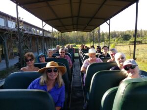 CATS Tour Safari