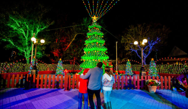 Family standing in front of a LEGO Christmas tree at LEGOLAND Florida's holiday light display.