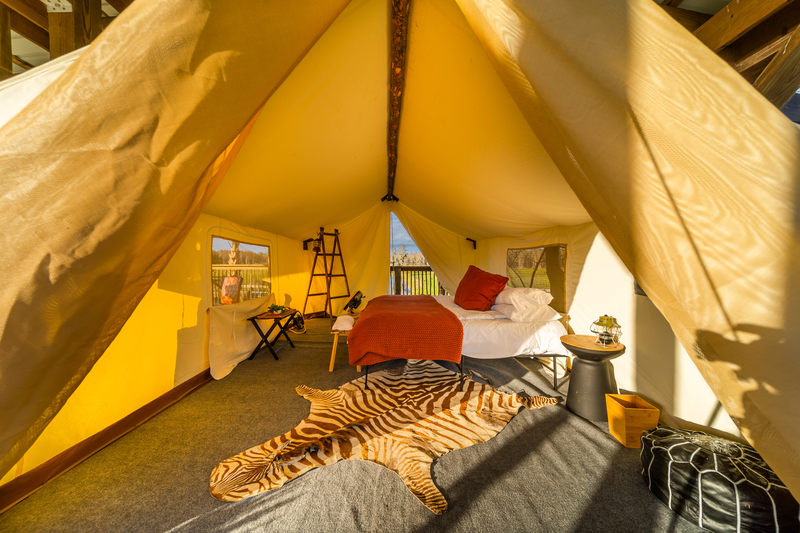 Tent interior at Safari Wilderness