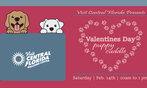 Puppy Cuddle event banner