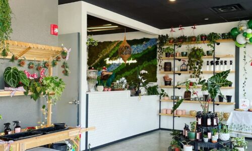 Interior of the potting bench in winter haven, fl