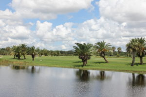 Ridgewood Lakes Golf and Country Club