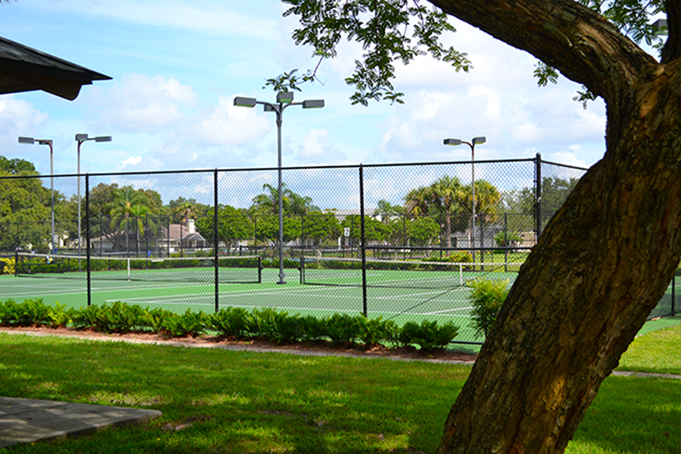 Woodlake Tennis Courts
