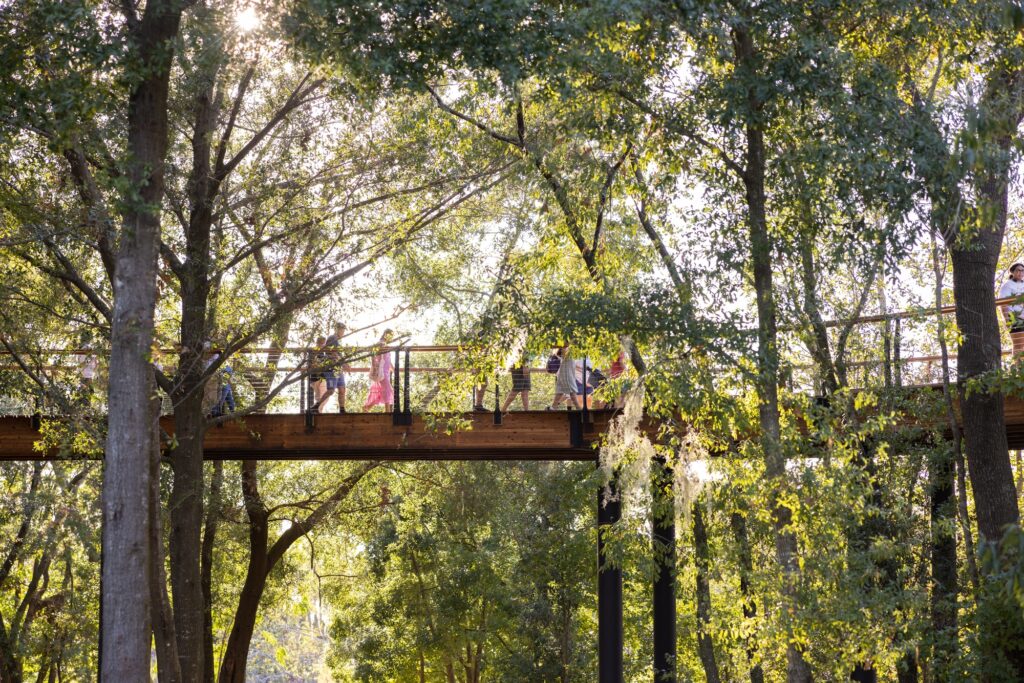 Crenshaw canopy walk at Bonnet Springs Park