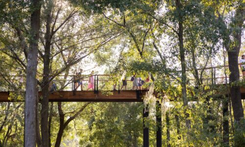 Crenshaw canopy walk at Bonnet Springs Park