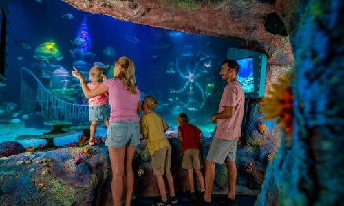 SEA LIFE Florida