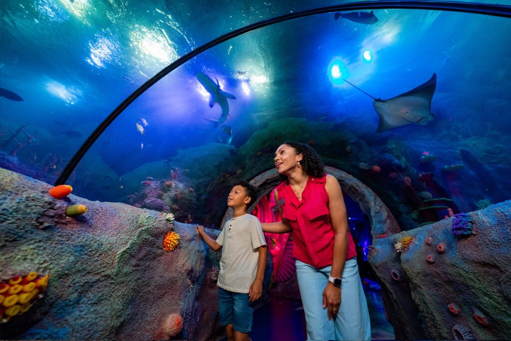 Mom and son exploring the SEA LIFE Florida aquarium. 