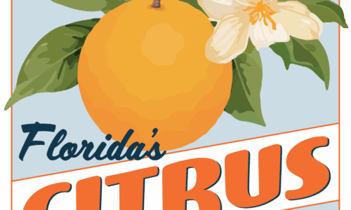 Florida's Citrus Festival logo